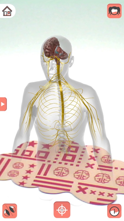 Body planet - Amparo screenshot-3