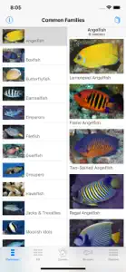 Tetiaroa Fish Guide screenshot #3 for iPhone