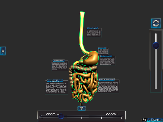 Screenshot #6 pour Human anatomy system & parts