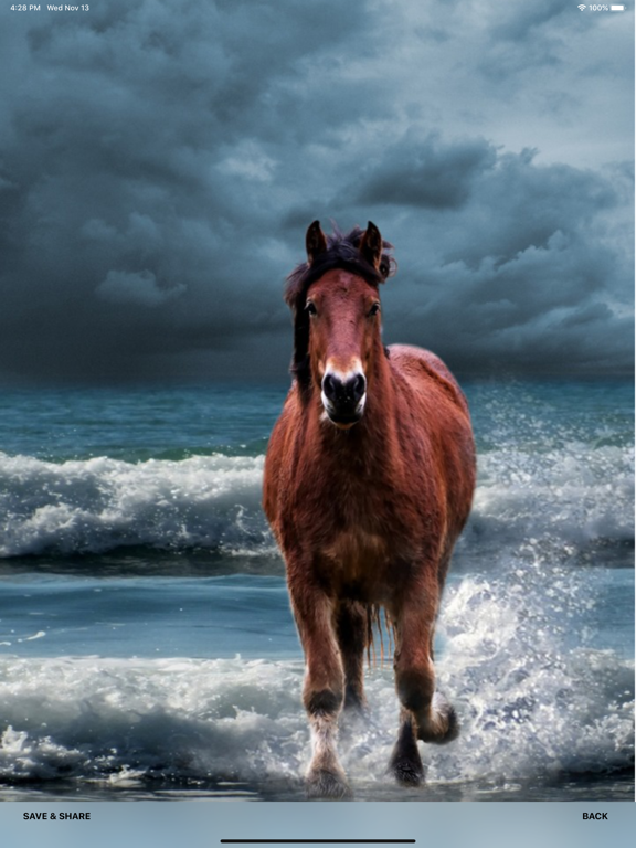Screenshot #6 pour Chevaux Fonds d'écran