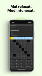 Rebus și Integrame: Careuri screenshot