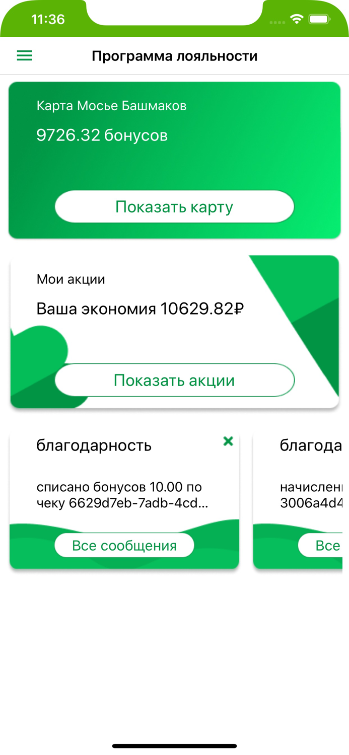 Мосье Башмаков