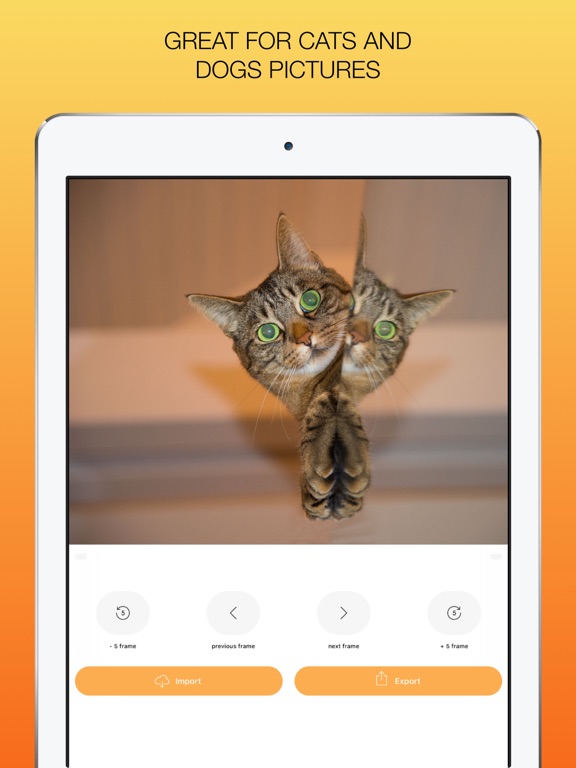 Screenshot #6 pour Grab Picture - Video converter
