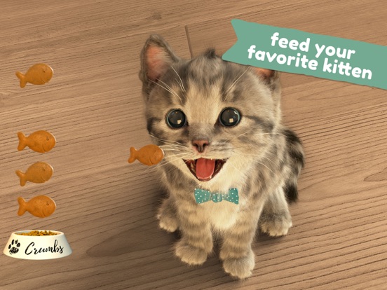 Kleine Kitten- My Favorite Cat iPad app afbeelding 4