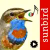 Canzoni d'uccelli App Delete