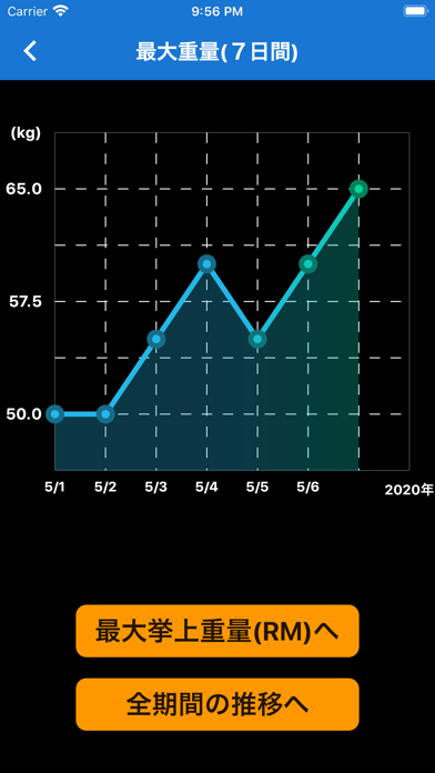 BodyRecords iPhone screenshot
