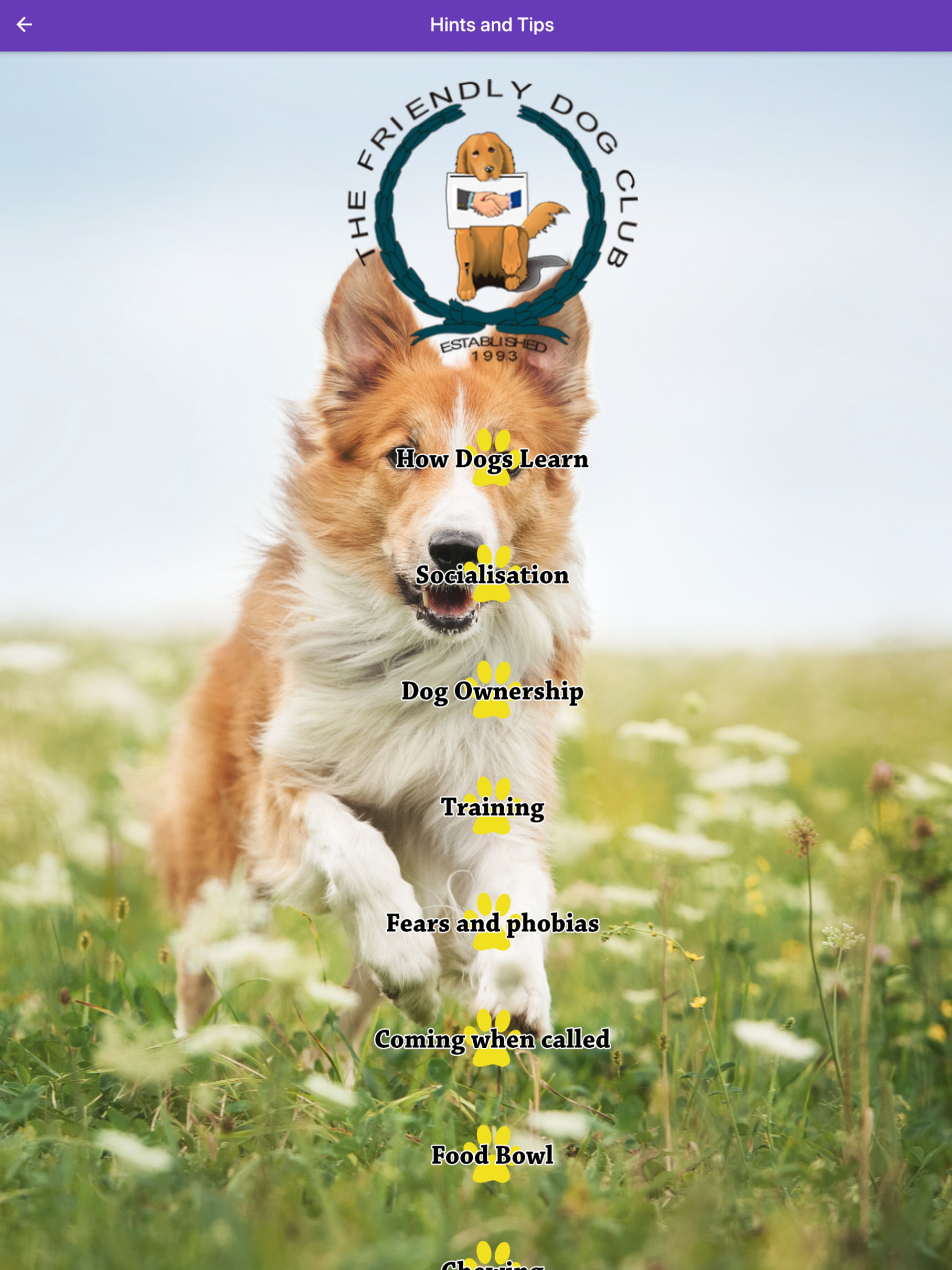 Basic Dog Training screenshot 7