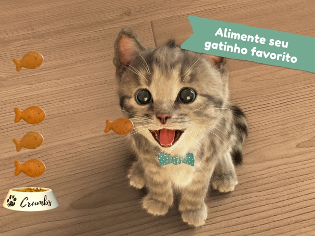 Gatinho - Meu Gato Preferido na App Store