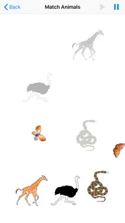 animated wild animals iphone screenshot 3