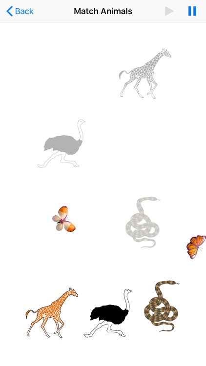 Animated Wild Animals