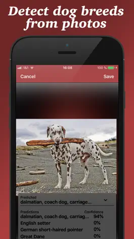 Game screenshot Dog Breed Scanner apk