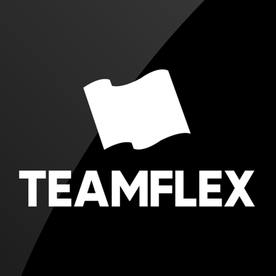 팀플렉스 - TEAMFLEX
