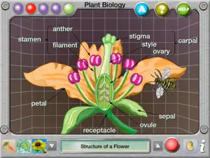 Plant Biology Explorer screenshot #4 for iPad