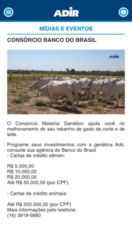 Grupo Adir screenshot-4