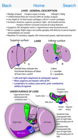 Game screenshot Instant Anatomy Flash Cards hack