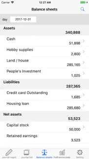 balance sheet - yourself iphone screenshot 1