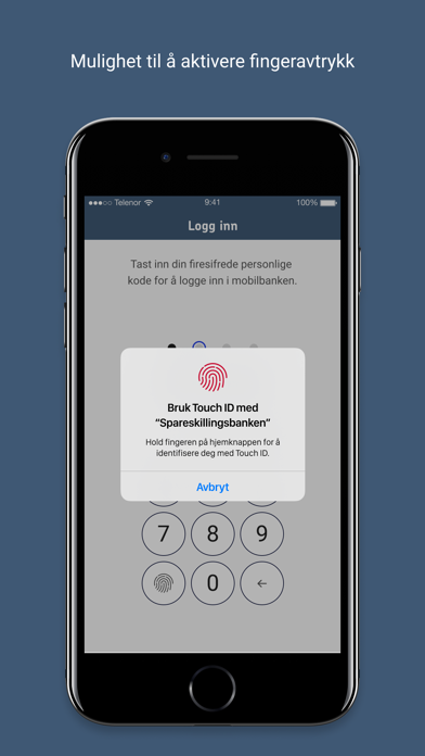 Spareskillingsbanken Mobilbank Screenshot