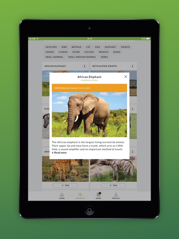 Screenshot #6 pour ZSL Instant Wild