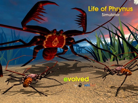 Life of Phrynus - Whip Spiderのおすすめ画像1