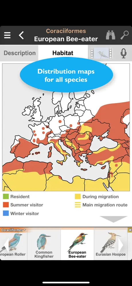 Birds of Europe Guide