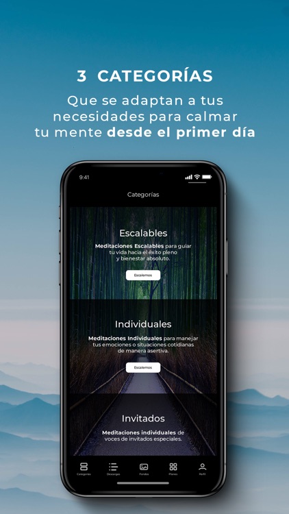 Bamboo Mind: By Ismael Cala