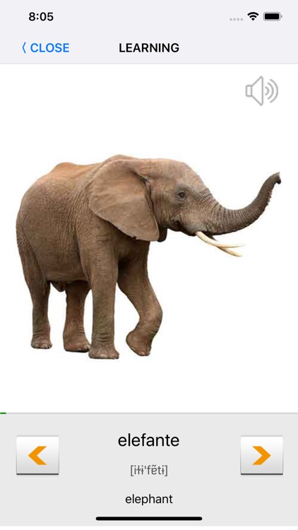 Learn Portuguese words with ST