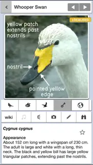 Birds of Britain Pro iphone bilder 2