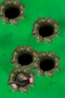 Game screenshot Play, Cat, Play apk