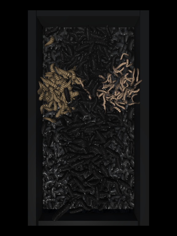 Screenshot #5 pour ASMR Maggots Triggers