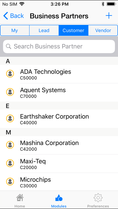 SAP Business One Screenshot