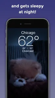 boo weather: pomeranian puppy iphone screenshot 3