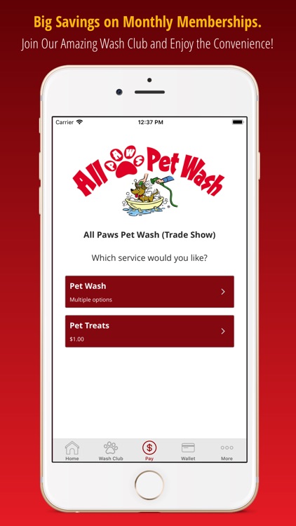 All Paws Pet Wash