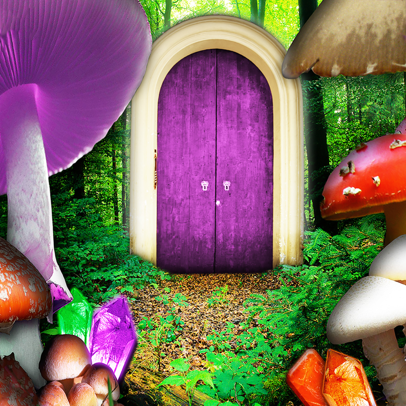 Alice Trapped in Wonderland