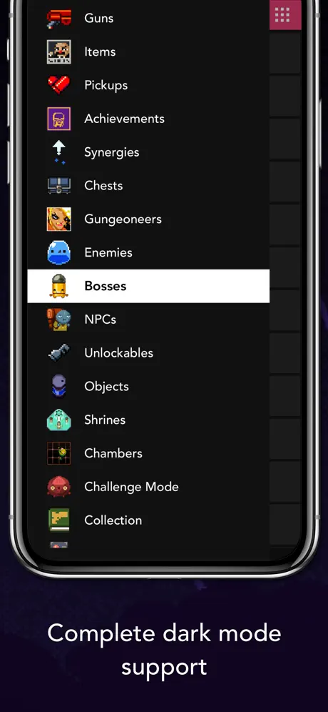 Guide for Enter the Gungeon