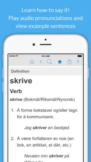 norwegian dictionary. iphone screenshot 2
