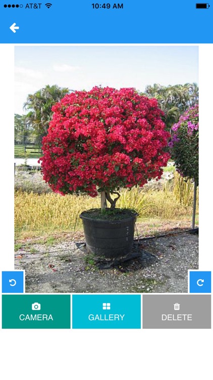 PlantAPP screenshot-4