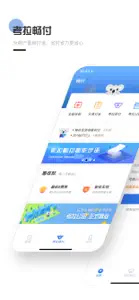 考拉畅付 screenshot #1 for iPhone