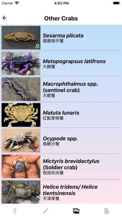 Marine Biology (HKUST) screenshot-3