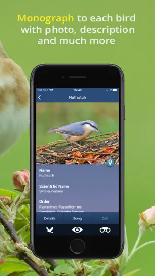 Bird Song Id UK iPhone-skjermbilde 8