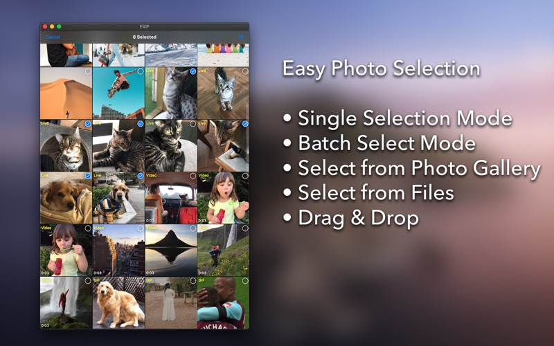 exif - view and edit meta data iphone screenshot 2