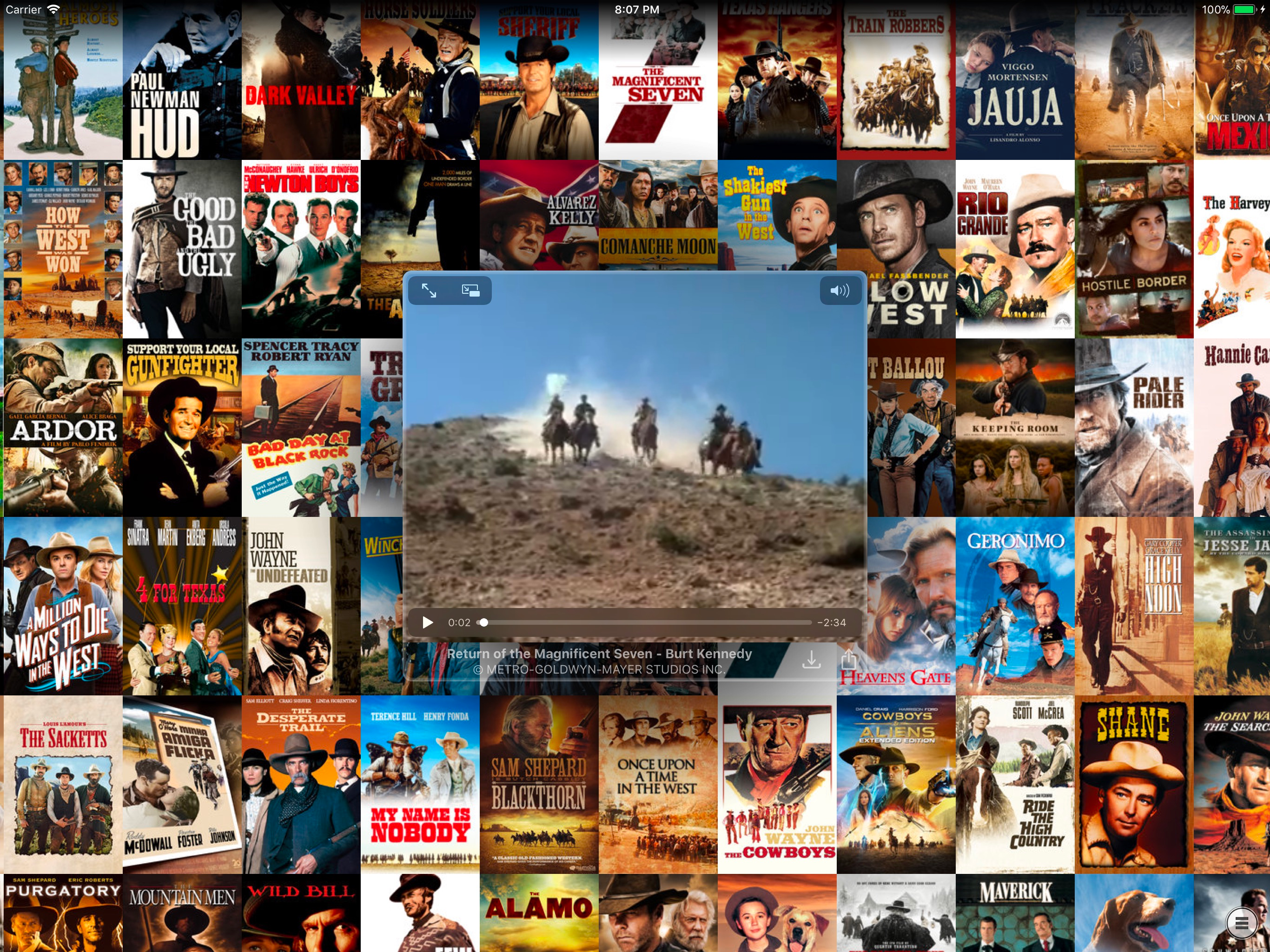 Wall of Video screenshot 6