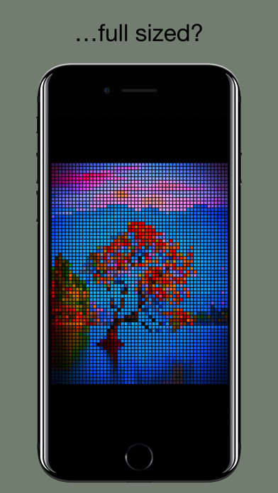 Stained Glass - Photo Effect Screenshot