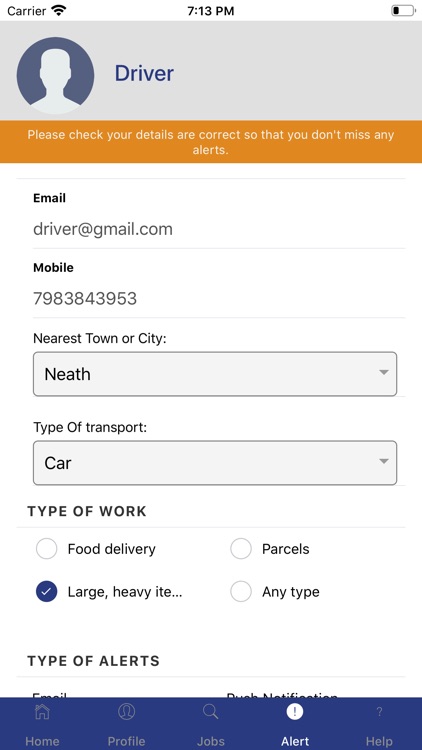 Deliver Us Drivers screenshot-4