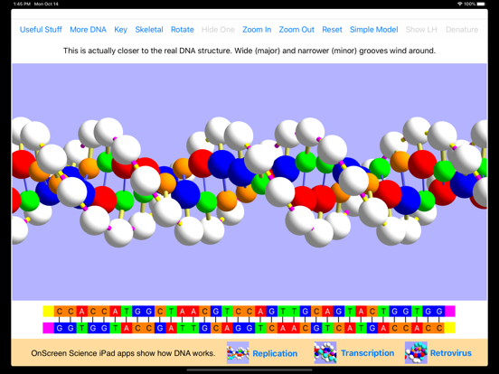 OnScreen DNA Modelのおすすめ画像2