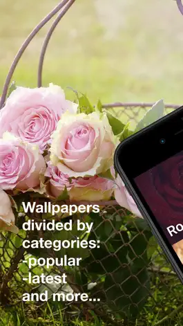Game screenshot Roses Wallpapers: HD apk