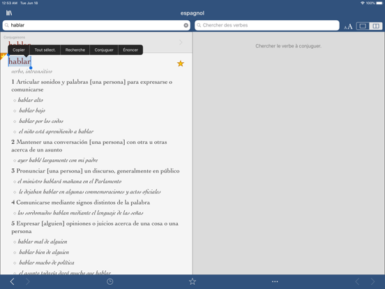 Screenshot #4 pour Vox espagnol complet