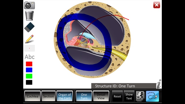 Inner Ear ID screenshot-4