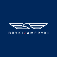 Bryki z Ameryki