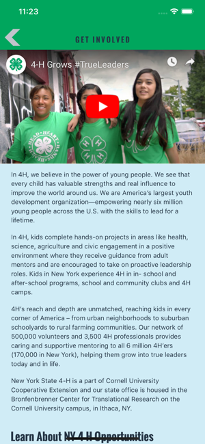 New York 4-H(圖4)-速報App