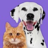 Pet Parade: Cutest Dogs & Cats icon